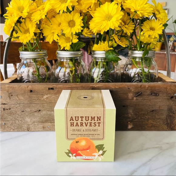 Anthropologie•NIB•Flora & Fauna•Hand-Poured Soy Wax Candle•9oz•Orange+Bergamot - Picture 14 of 16